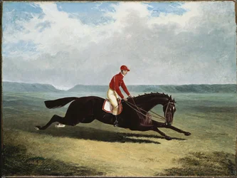Baronen med Bumpy Up, på Newmarket