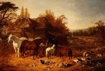 Gårdsgården med hästar, ponnyer, Berkshire-sadelryggar, Alderney Shorthorn-boskap och fjäderfä