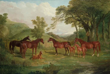 Streatlam stuteri, ston och föl, 1836