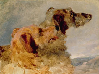 Two Deerhounds, 1851 (olja på papper)