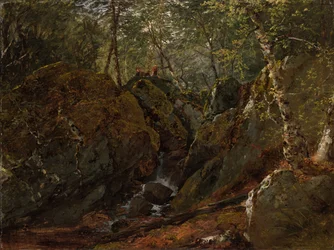 Catskillfallet