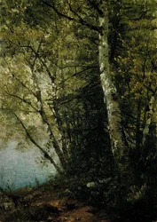 Studie av bokar, 1872.