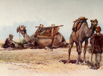 Studie av kameler och skötare, 1902.