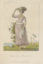 Kvinnlig quadroon-slav från Surinam