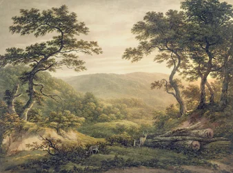 Needlewood Forest, Hampshire (akvarell på papper)