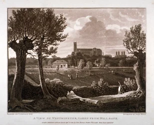 Utsikt över Westminster från Millbank, London, 1807