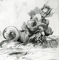 Illustration av ett havsmonster, 1700-tal
