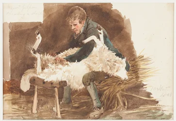 Kunyoa kondoo, 1808 (wc kwenye karatasi)swed