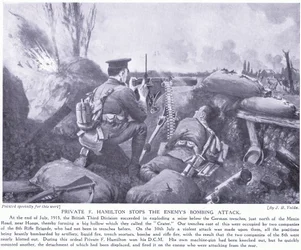 Menige F Hamilton tilldelades DCM för att ha stoppat fiendens bombattack i juli 1915 vid Hooge.