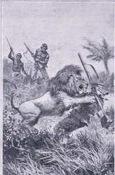 The end of Livingstone, Newnes Pictorial Knowledge publicerad av Newnes, ca 1950-talet (litho)
