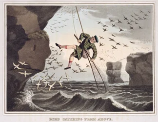 Fågelfångst ovanifrån, graverad av Matthew Dubourg (fl.1785-1820), utgiven av Edward Orme, 1813