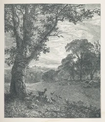 Tallrik 3. Rådjur runt ett träd.  Naturbilder. En serie av trettio originalillustrationer tecknade på trä av J. H. Dell, och graverade av R. Paterson.  John Henry Dell