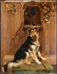 En hund och en spegel (olja på duk)