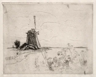 Mill and Weeds, Holland.
