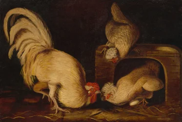 Gårdshöns, ca. 1827.
