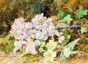 Almond Blossoms and Primroses, 1868 (wc på kort)