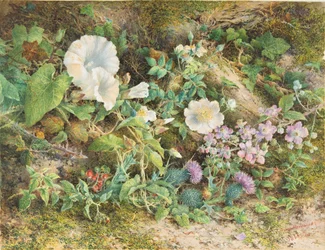 Blomsterstudie, 1866.