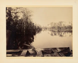Silver Springs, Florida, vy uppströms