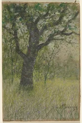Landskap
