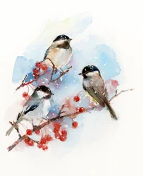 Chickadees with Berries, 2017, (akvarell)