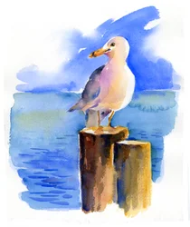 Seagull on dock, 2014, (akvarell)