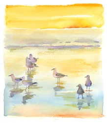 Måsar på stranden, 2014, (akvarell)