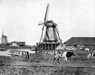 Holländska väderkvarnar, Holland, sent 1800-tal