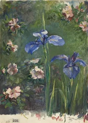 Vilda rosor och iris, 1887.