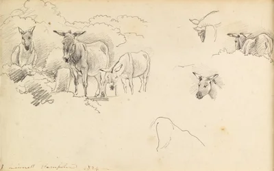Åsnor, 1824