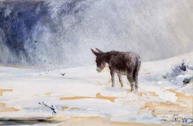 Åsna i snö