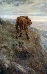 På beredskap - Lejoninna och ungar, c1878-1910, 1912.