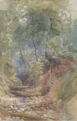 En ström nära Clovelly, North Devon, 1850.