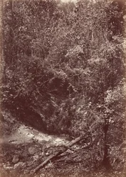 Darien-expeditionen, 1871 (foto)