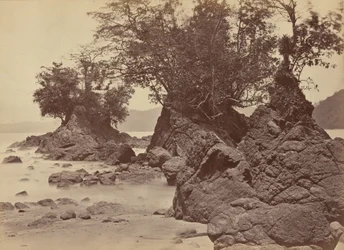 Öar, Limon Bay,1871 (foto)