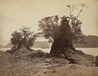 Öar i Lemon Bay, 1871.