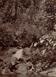 Tropiskt landskap, Cascade, Limon River, 1871.