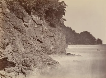 Tropiskt landskap, Cliff - Limon Bay, 1871.