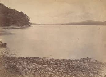 Tropiskt landskap, Darien Harbour - Ser söderut, 1871.