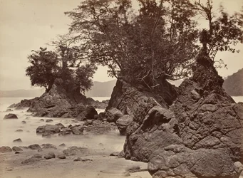 Tropiskt landskap, Limon Bay - lågvatten, 1871.