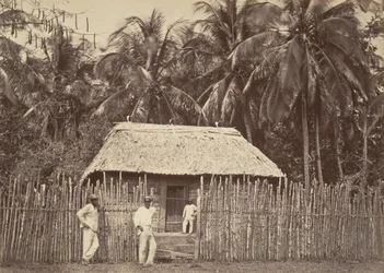 Tropiskt landskap, Native Hut, Turbo, 1871.