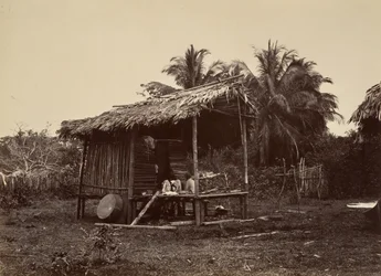 Tropiskt landskap, Native Hut, Turbo, 1871.