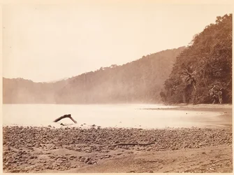 Tropiskt landskap: Slutstationen för den föreslagna kanalen, Limon Bay (Darien Expedition)