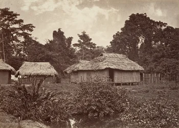 Tropiskt landskap, Turbo Village, 1871.