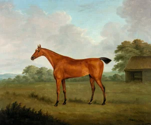 Kastanjehäst i ett landskap, 1815