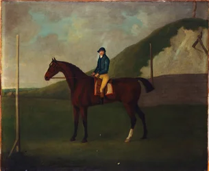 "Creeper", A Bay Colt Med Jockey Uppe Vid Startposten Vid The Running Gap In The Devils Ditch, Newmarket