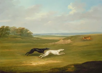 Löpning, en Coursing-scen