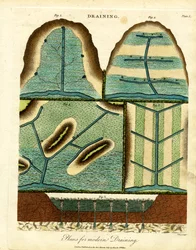 Moderna dräneringssystem (plansch I)