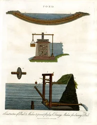 Pond: Tvärsnitt och bevattningsmekanismer
