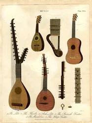 Luta;Theorbe;eller bågluta;spansk gitarr;mandolin;harpgitarr