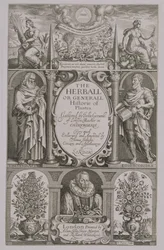 Titelsidan till den andra upplagan av The Herball av John Gerard (1564-1612) 1633